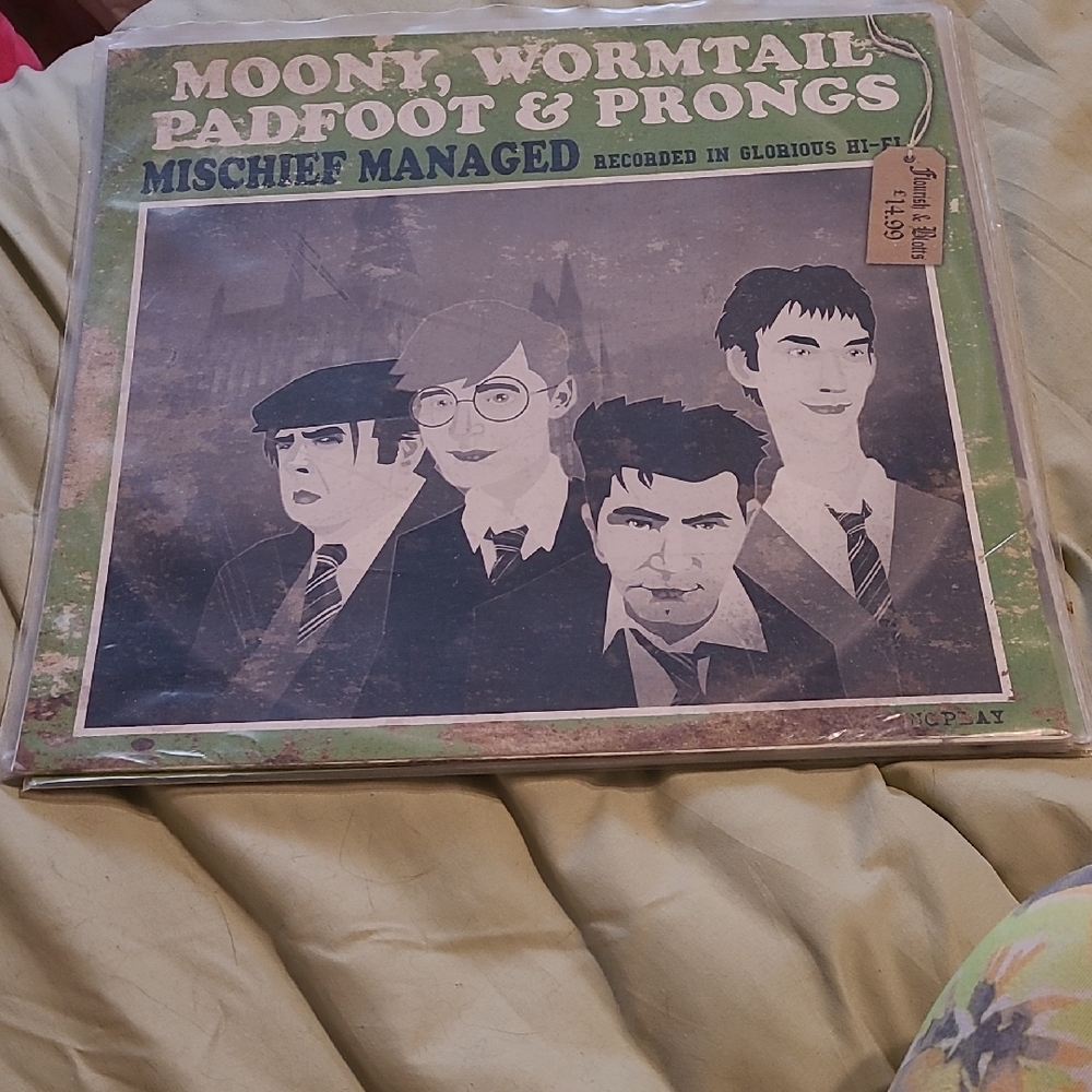 Harty Potter Mock Vinyl Album Cover